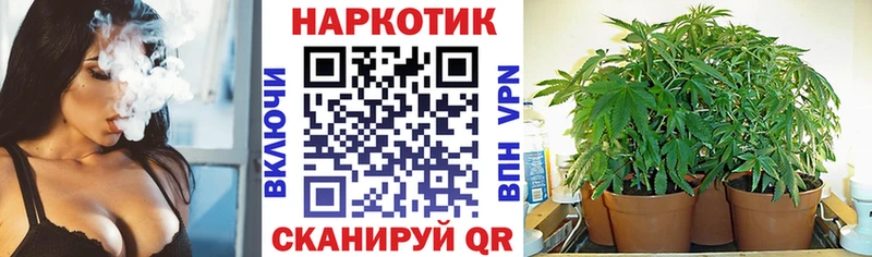 Где продают наркотики Лодейное Поле КОКАИН Псилоцибиновые грибы ГАШ Codein МЕФ Конопля