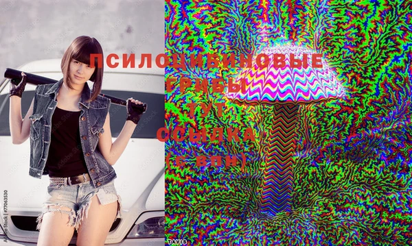 Альфа ПВП Магадан