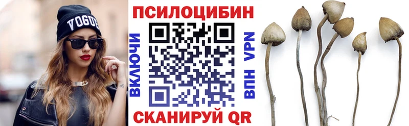 Псилоцибиновые грибы Magic Shrooms  дарнет шоп  Лодейное Поле 